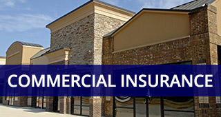 Insurance